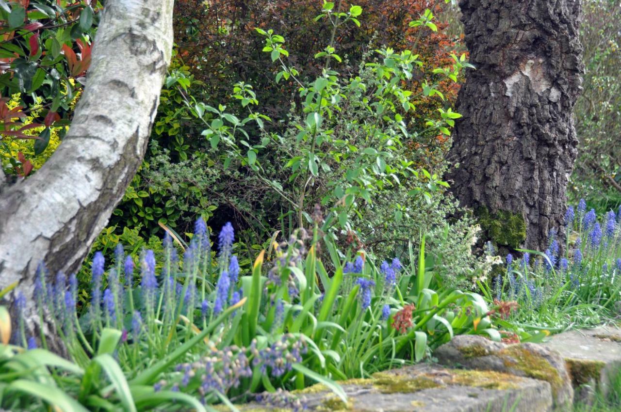 Bridleways Guesthouse & Holiday Homes Mansfield Luaran gambar